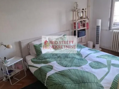 Izdavanje, jednosoban stan, 45m², Kalenić Pijaca, Vračar Sve Podlokacije - image 7