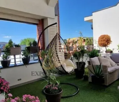 Prodaja, četvorosoban stan, 146m², Telep, Novi Sad Sve Podlokacije - image 11