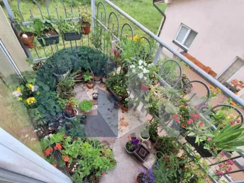 Prodaja, dvosoban stan, 56m², Mirijevo 1, Mirijevo Sve Podlokacije - image 10