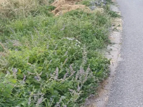 Sale, land lot, 2744m², Cetinje, Crna Gora - image 9