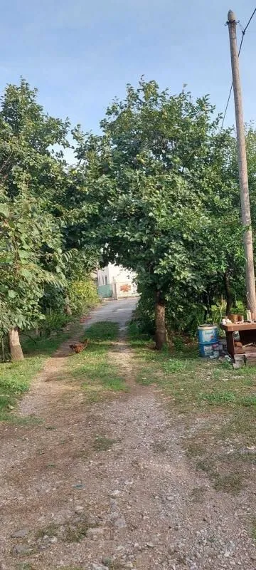 Prodaja, kuća, 500m², Bar, Crna Gora