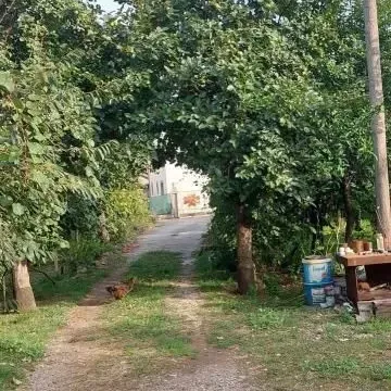 Sale, house, 500m², Bar, Crna Gora - image 3