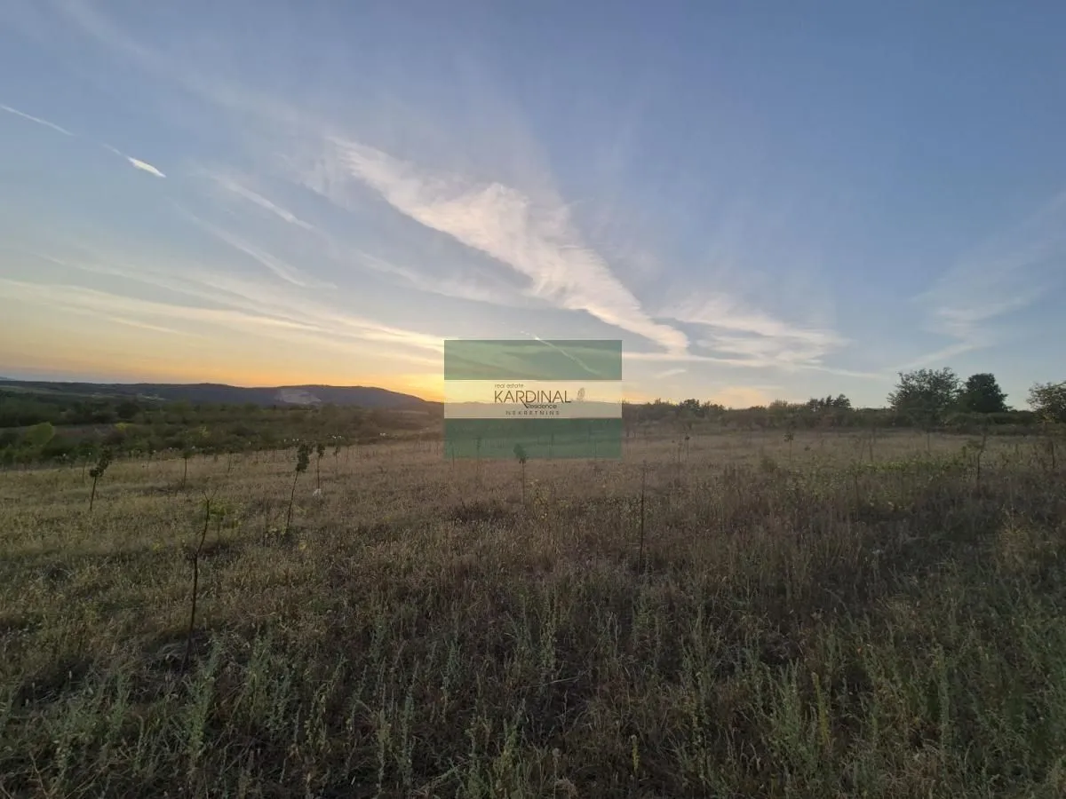 Prodaja, plac, 27920m², Siokovac, Jagodina