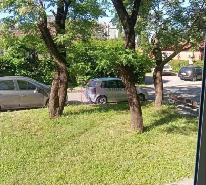 Pogled iz prozora na zelenilo i parking ispred zgrade. - image 6