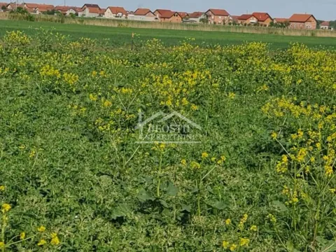 Prodaja, plac, 6156m², Batajnica, Beograd - image 2