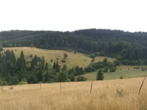 Sale, land lot, 105000m², Mijakovići, Pljevlja - image 7