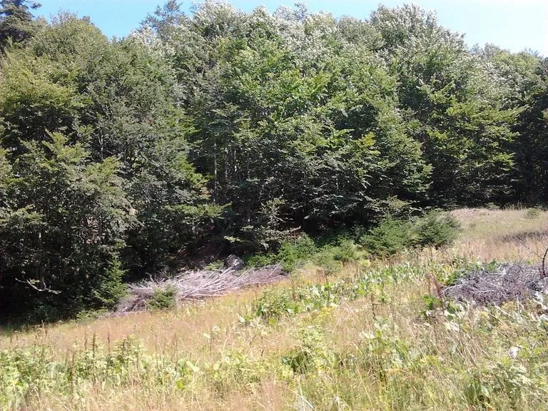 Prodaja, plac, 10000m², Kolašin, Crna Gora