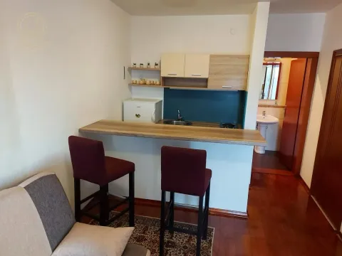 Rent, studio apartment, 25m², Salajka, Novi Sad Sve Podlokacije - image 3