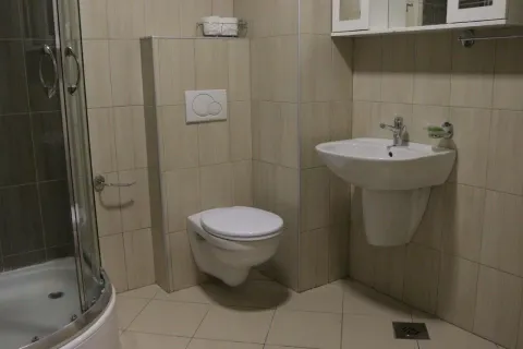 Jednostavno kupatilo sa tuš kabinom, lavaboom i toaletom. - image 4