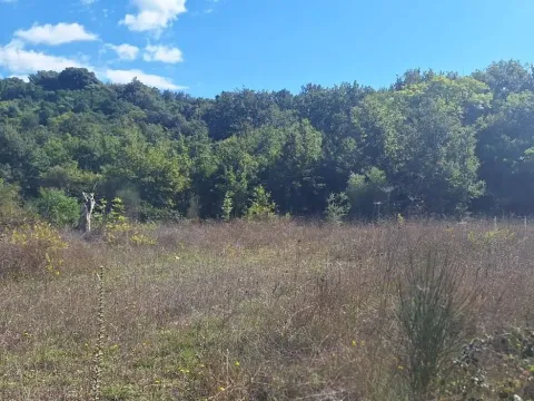 Prodaja, plac, 13750m², Utjeha, Bar - image 9