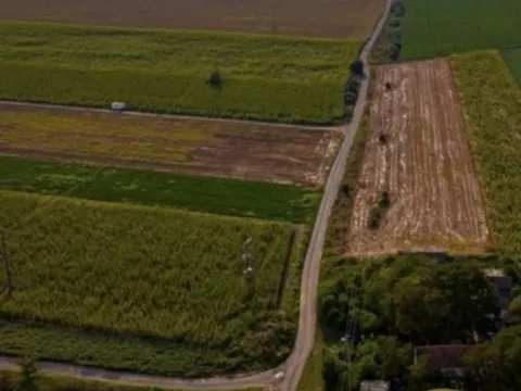 Sale, house, 75m², Čenej, Novi Sad Sve Podlokacije - image 3