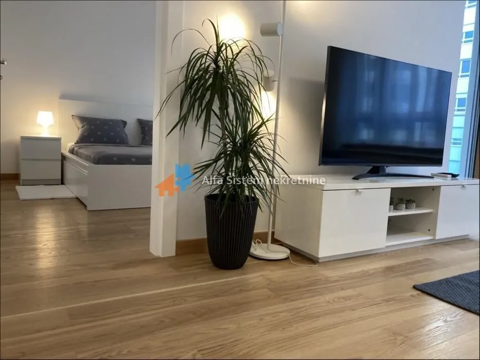 Izdavanje, dvosoban stan, 54m², Novi Beograd Blok 65, Novi Beograd Sve Podlokacije
