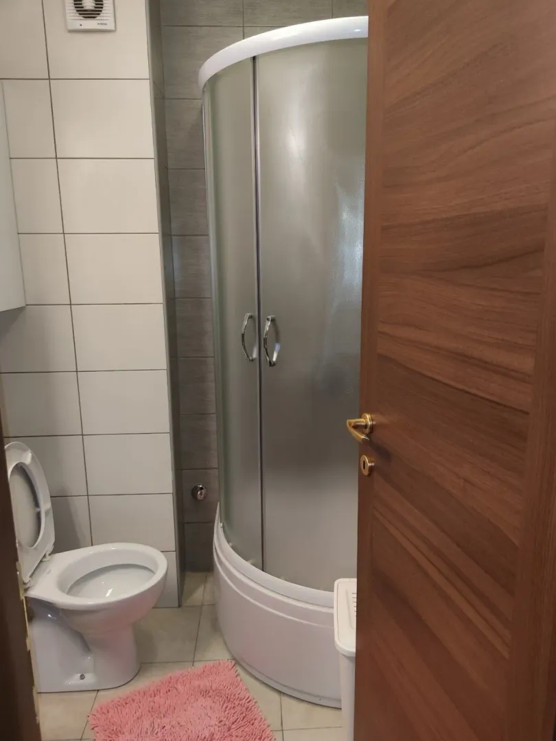 A simple bathroom with a shower cabin and a toilet.