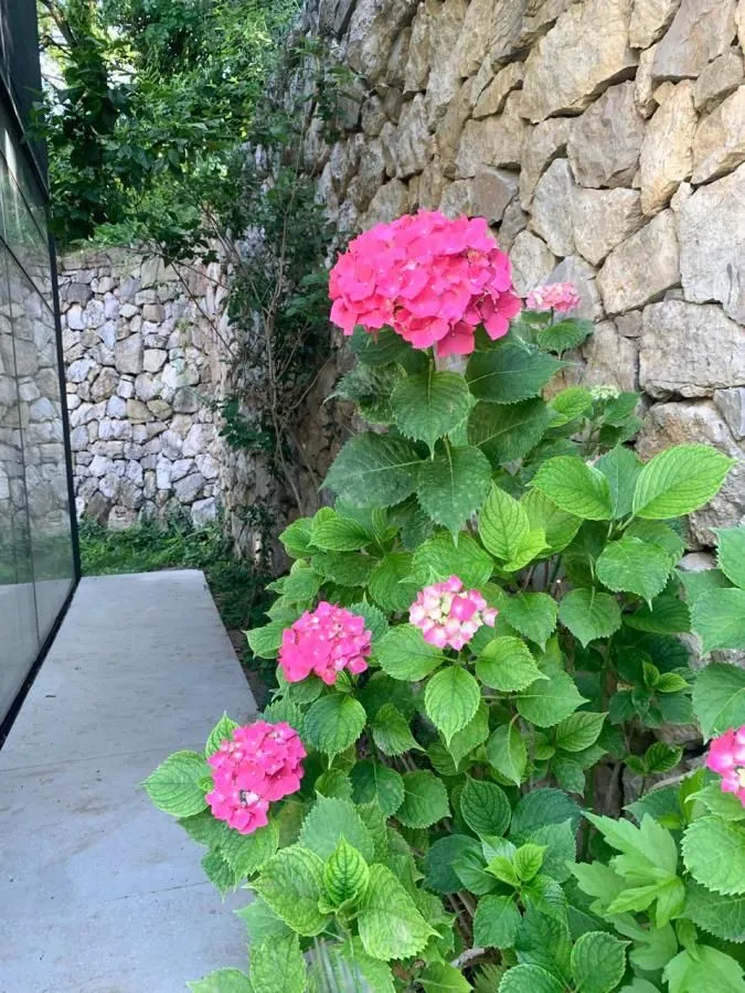 Prodaja, kuća, 350m², Prijevor, Budva