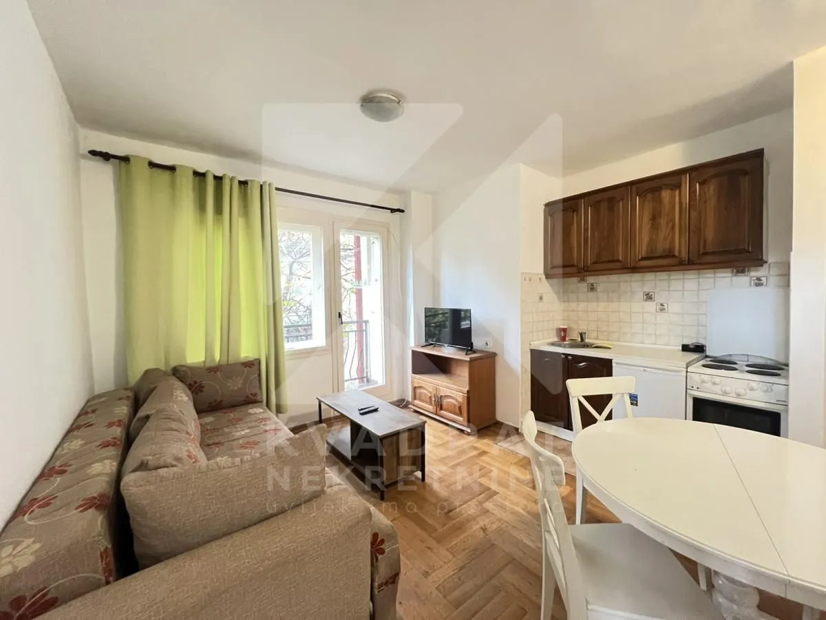 Izdavanje, jednosoban stan, 50m², Stari Aerodrom, Podgorica