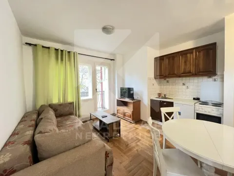 Izdavanje, jednosoban stan, 50m², Stari Aerodrom, Podgorica - image 1