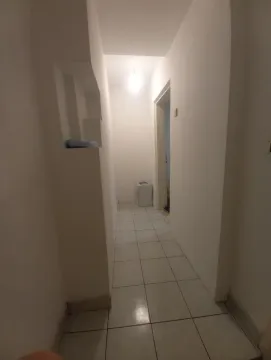 Rent, house, 25m², Zemun Bačka, Zemun Sve Podlokacije - image 7
