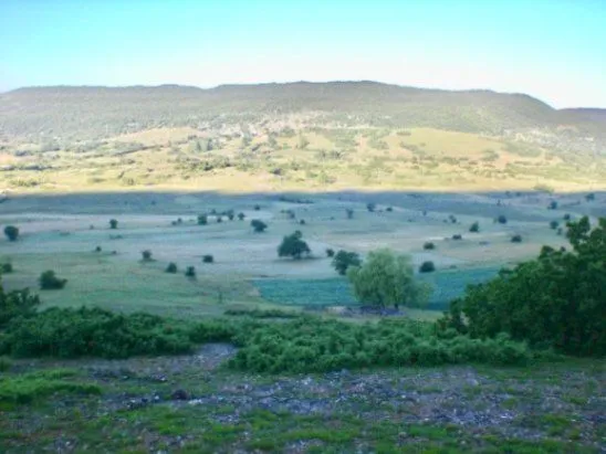 Prodaja, plac, 16106m², Velimlje, Nikšić