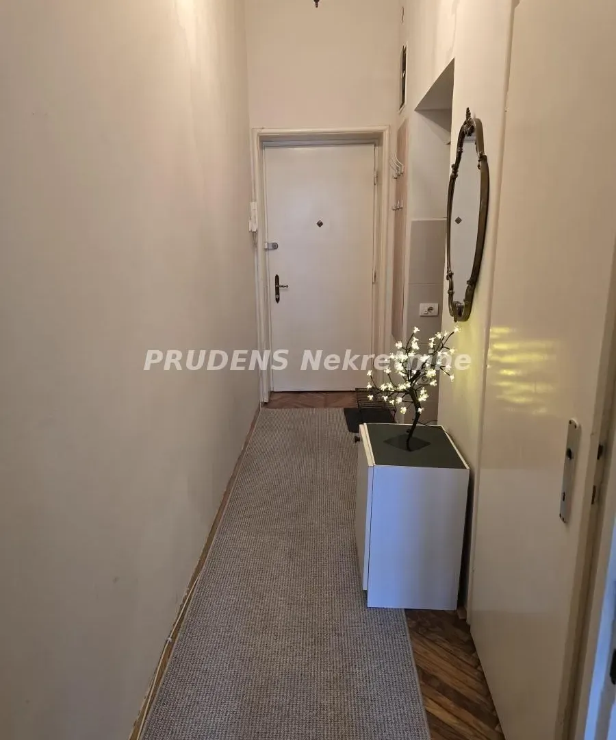 Izdavanje, jednosoban stan, 25m², Cvetni Trg, Vračar Sve Podlokacije
