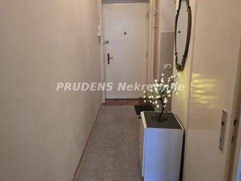 Izdavanje, jednosoban stan, 25m², Cvetni Trg, Vračar Sve Podlokacije - image 9