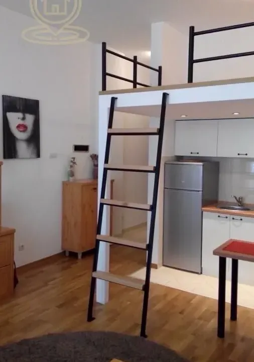 Rent, one bedroom apartment, 33m², Novi Sad, Srbija