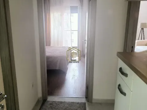 Rent, one bedroom apartment, 45m², Pobrežje, Podgorica - image 5