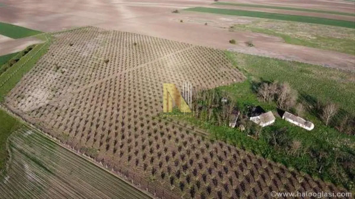 Sale, land lot, 74000m², Žabalj, Srbija