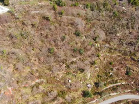 Prodaja, plac, 1262m², Blizikuće, Budva - image 3