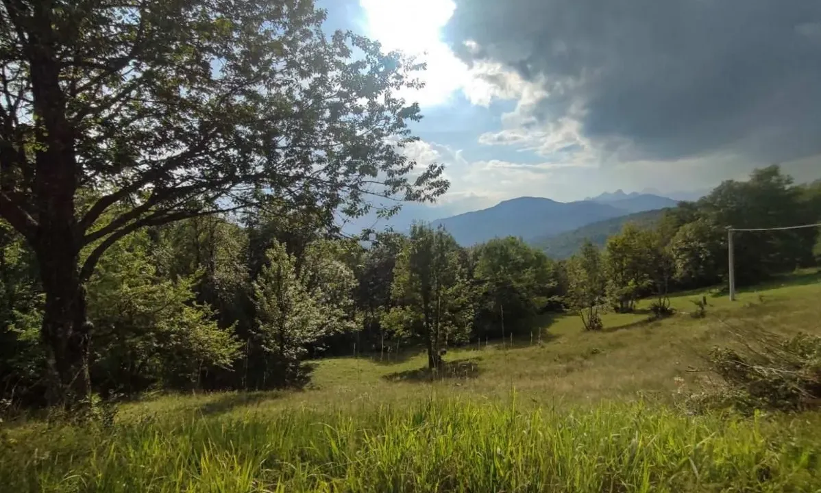 Prodaja, plac, 1300m², Kolašin, Crna Gora