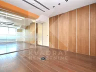 Rent, office space, 391m², Preko Morače, Podgorica - image 4