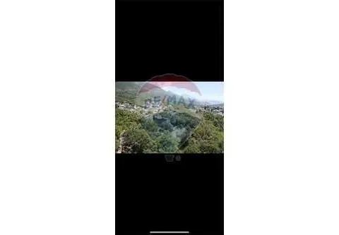 Prodaja, plac, 2000m², Mišići, Bar - image 5