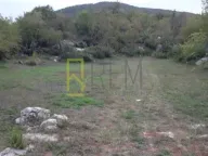 Sale, land lot, 17000m², Bandići, Danilovgrad - image 3