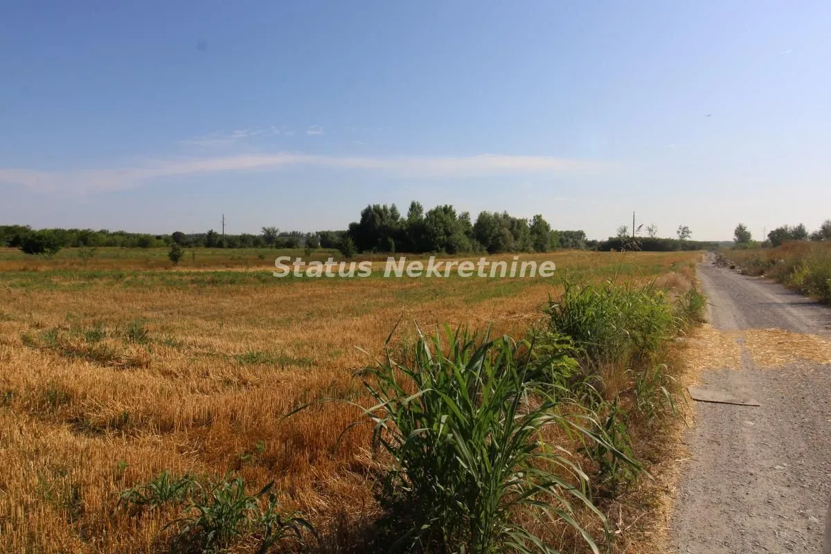 Sale, land lot, 6396m², Šangaj, Novi Sad Sve Podlokacije