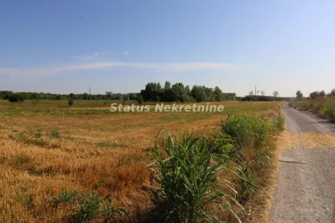 Sale, land lot, 6396m², Šangaj, Novi Sad Sve Podlokacije - image 14