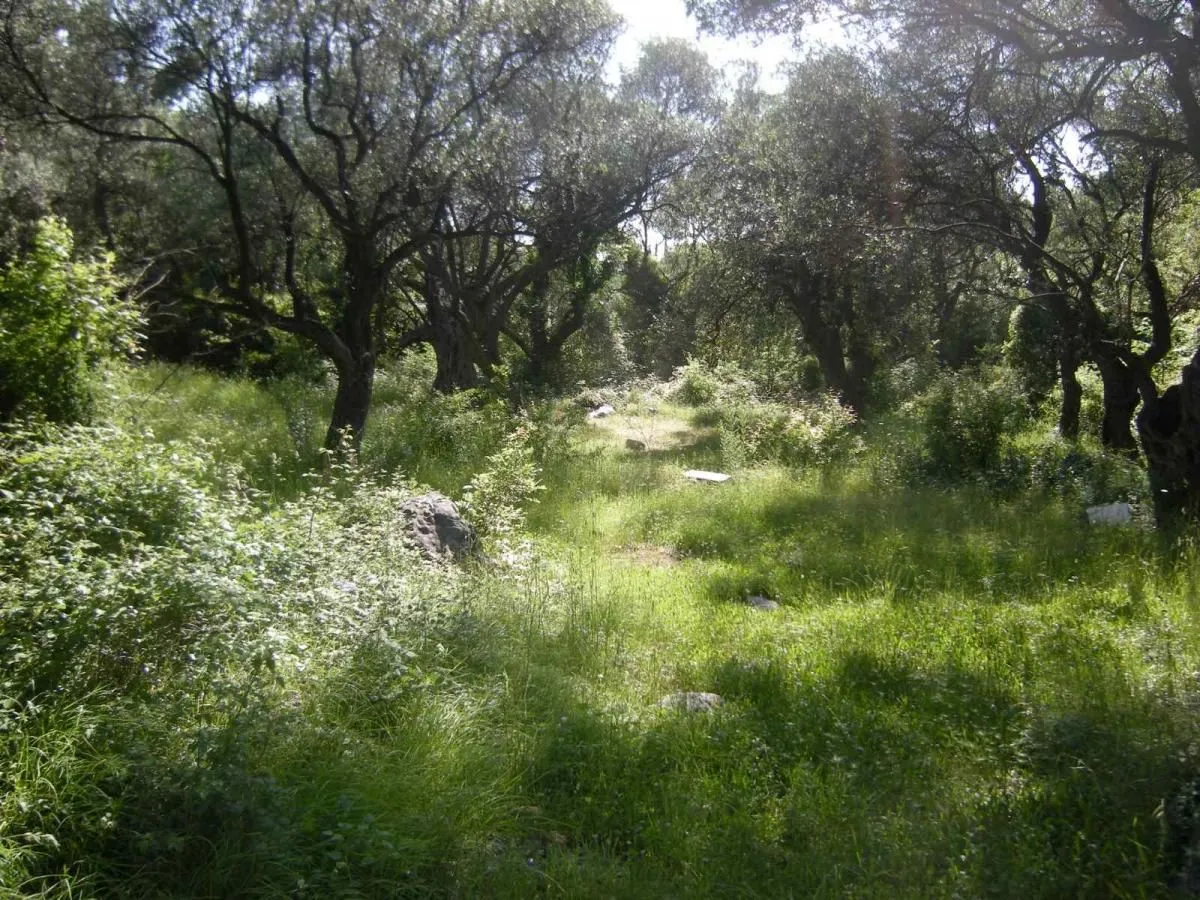 Prodaja, plac, 500m², Budva, Crna Gora