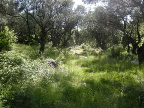 Prodaja, plac, 500m², Budva, Crna Gora - image 2