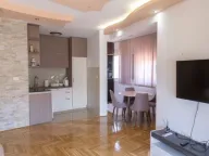 Izdavanje, jednosoban stan, 45m², Ljubović, Podgorica - image 5