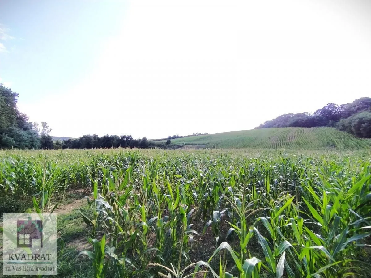 Prodaja, plac, 45000m², Kršna glava, Ub