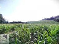 Prodaja, plac, 450m², Kršna glava, Ub - image 4