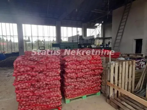 Sale, house, 155m², Bački Petrovac, Novi Sad - image 12