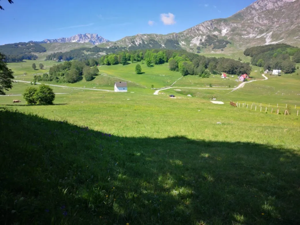 Prodaja, plac, 11500m², Pošćenski Kraj, Žabljak