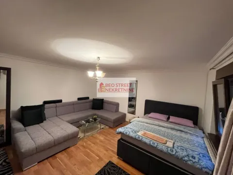 Izdavanje, jednosoban stan, 55m², Zvezdara Sve Podlokacije, Beograd - image 14