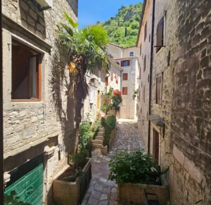 Sale, studio apartment, 15m², Stari Grad Kotor, Kotor