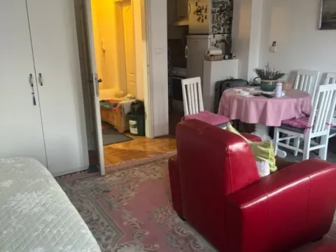 Sale, apartment, 33m², Erdoglija, Kragujevac - image 7