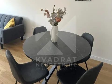 Izdavanje, jednosoban stan, 47m², Central Point, Podgorica - image 3