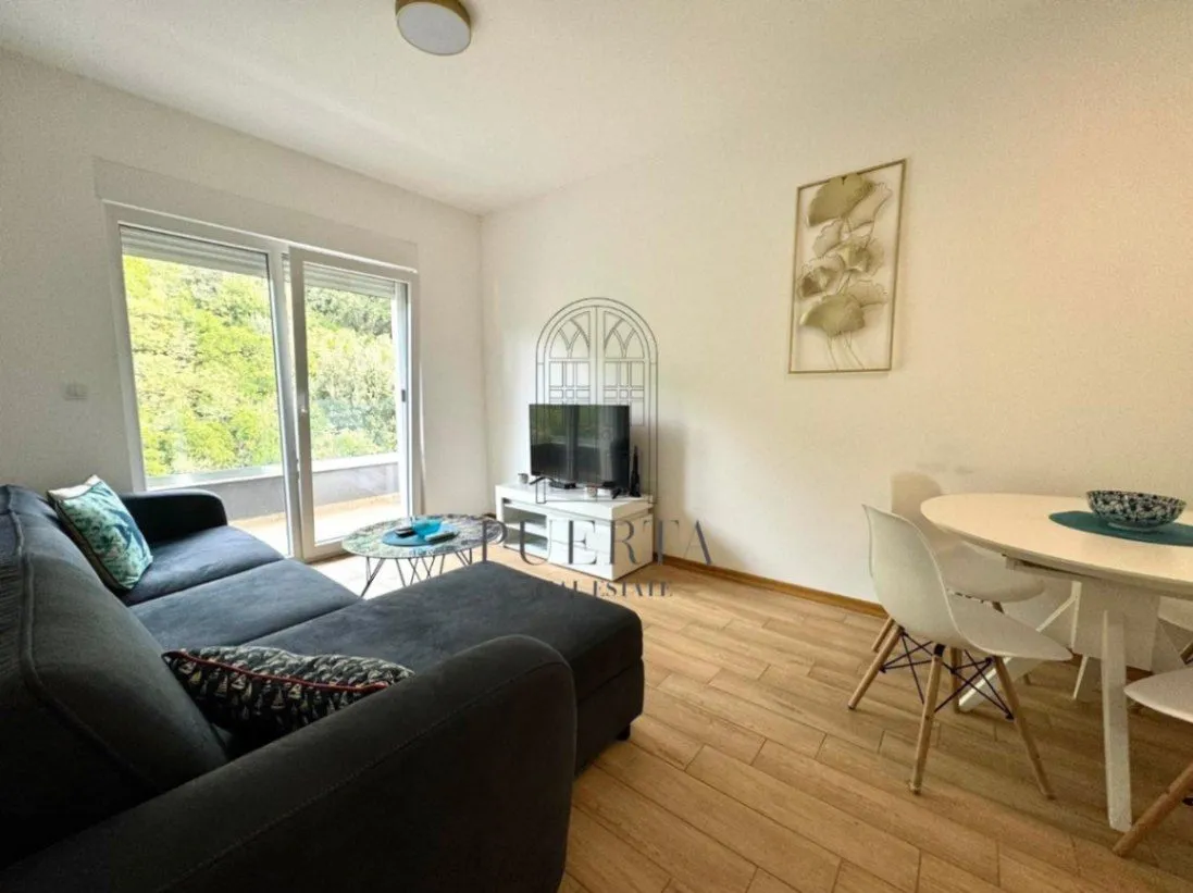 Rent, one bedroom apartment, 41m², Bijeli Do, Budva