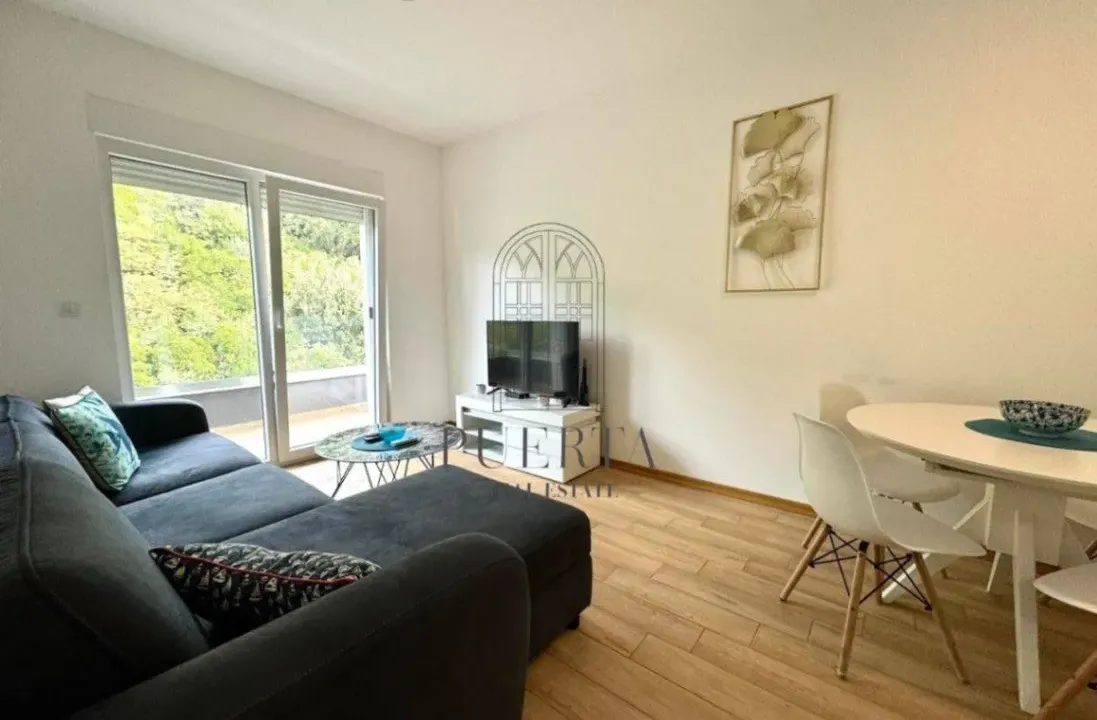 Izdavanje, jednosoban stan, 41m², Bijeli Do, Budva