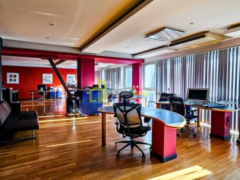 Izdavanje, poslovni prostor, 222m², Centar, Podgorica - image 9