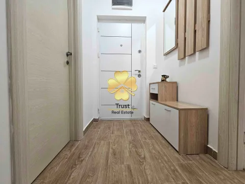 Izdavanje, jednosoban stan, 46m², Ljubović, Podgorica - image 5