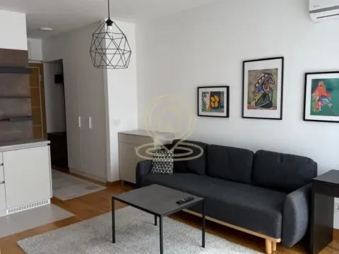 Rent, one bedroom apartment, 31m², Voždovac Sve Podlokacije, Beograd - image 4